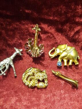 Animal Broaches.